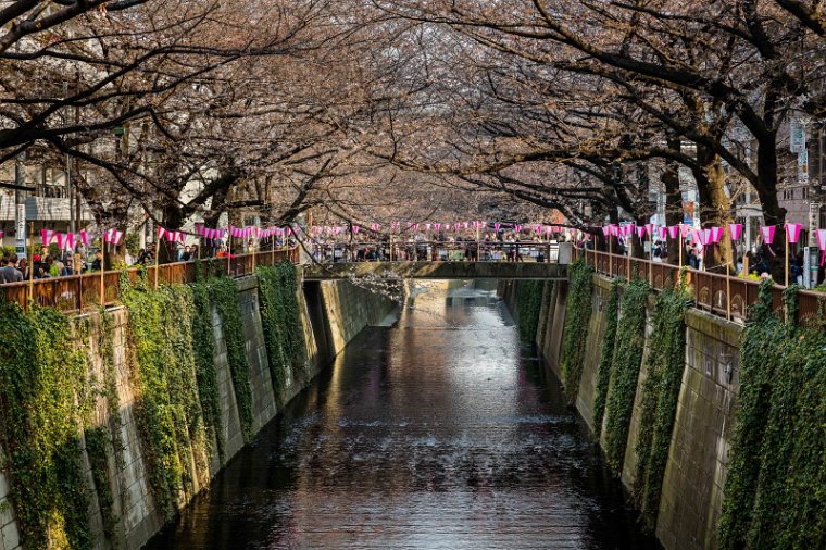 08 Tokyo, meguro rivier.jpg